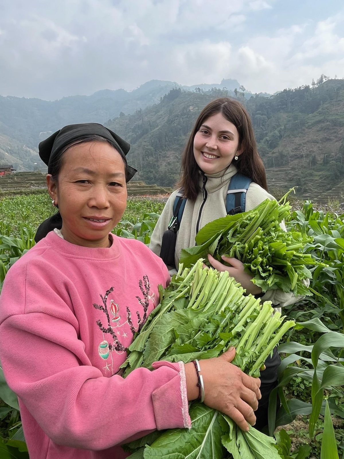 Sinh viên cùng người dân hái rau trên ruộng bậc thang