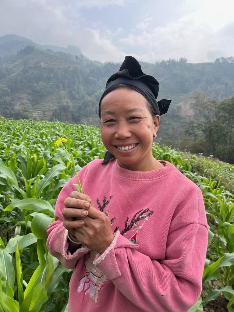 Người phụ nữ địa phương giữa nương ngô